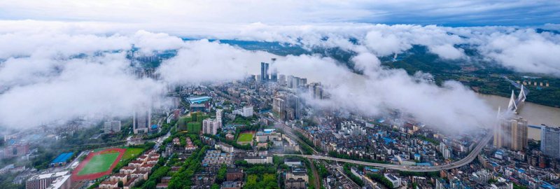 响应式网站在现代企业管理中的应用与价值